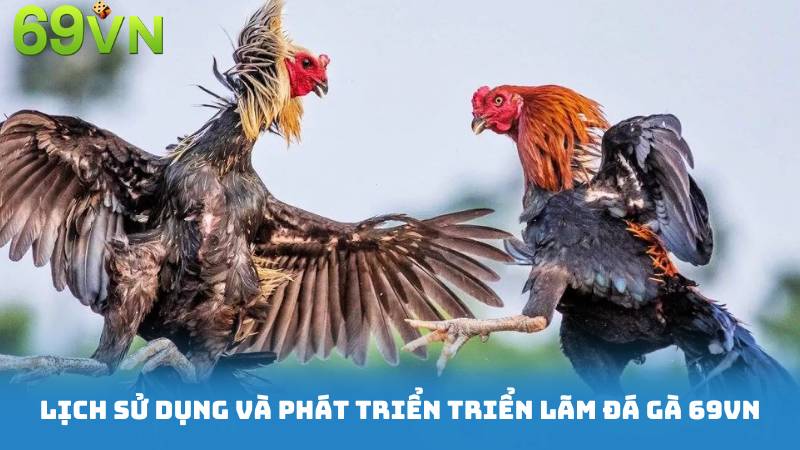 Lịch Sử dụng và Phát triển Triển lãm Đá Gà 69VN
