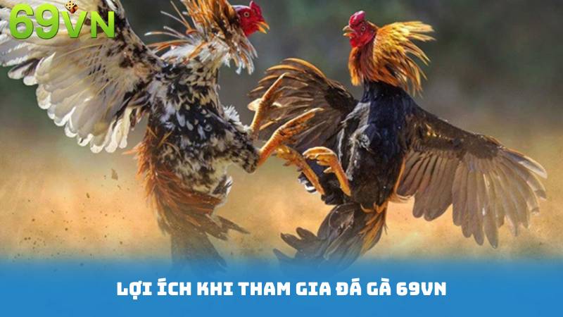 Lợi Ích Khi Tham Gia Đá Gà 69VN